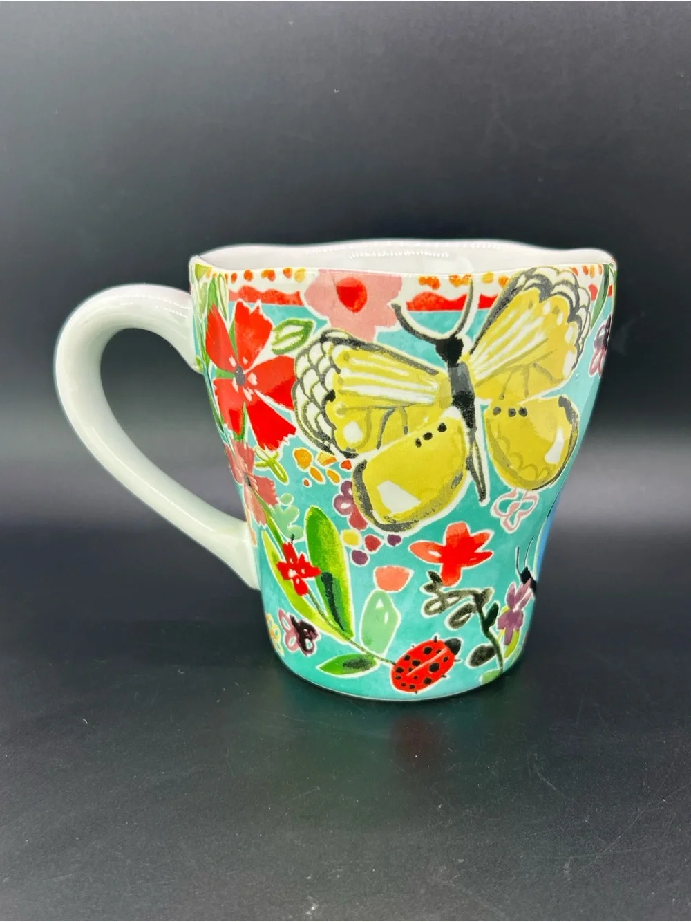Vintage Pier 1 Colorful Butterfly Floral Ceramic Mug Cup Turquoise Background